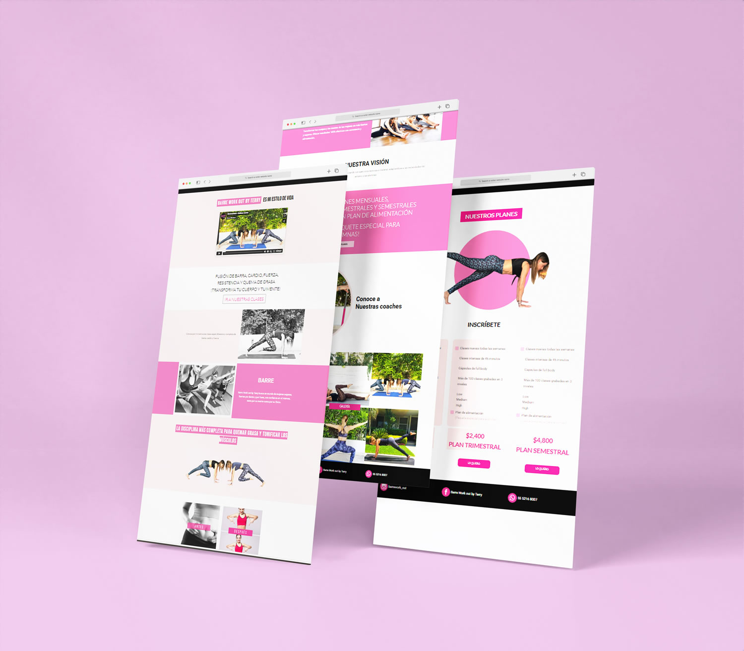 Barre Work out by Terry